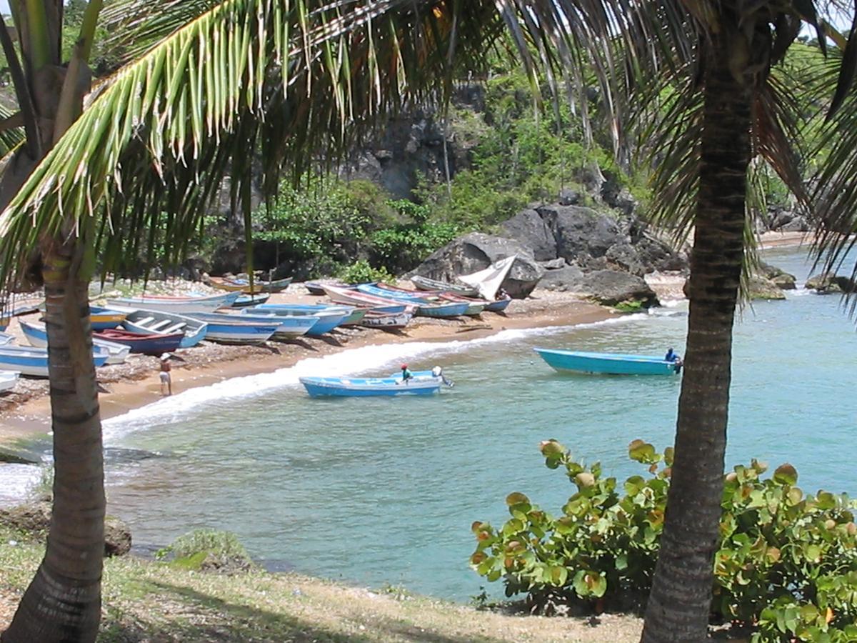 Hotel El Viejo Pirata Boca de Yuma Dış mekan fotoğraf